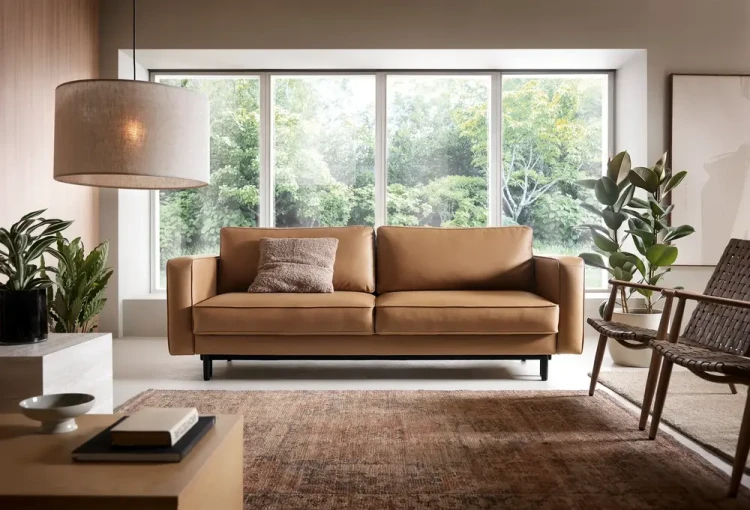 California-Sofa-with-sleeping-function-,-Sofa-Bed-Contemporary-Style1.webp