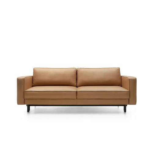 California-Sofa-with-sleeping-function-,-Sofa-Bed-Contemporary-Style3.webp