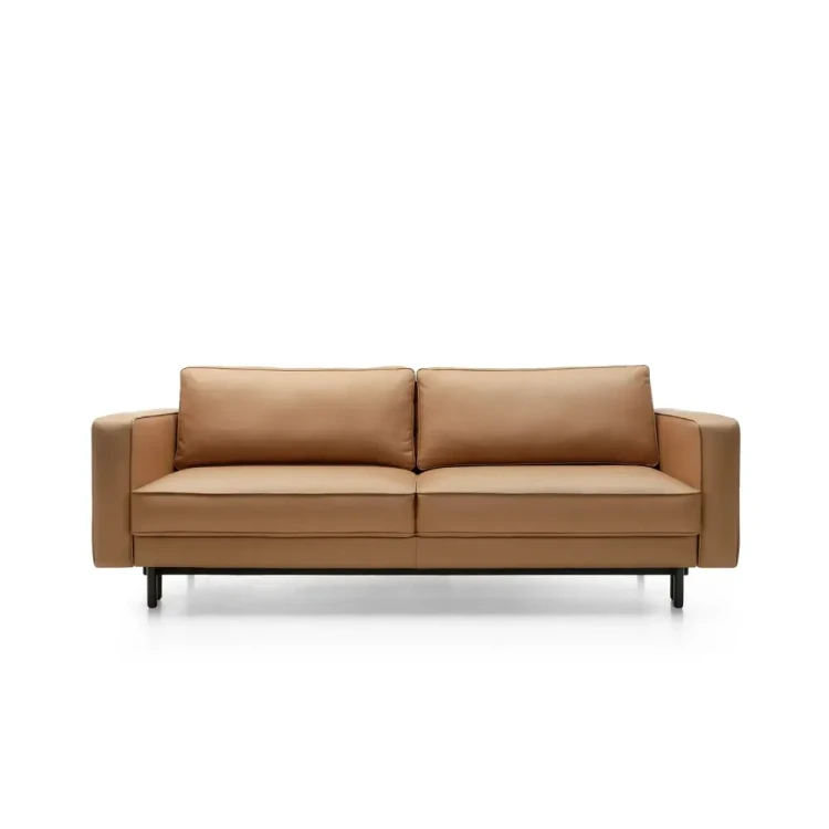 California-Sofa-with-sleeping-function-,-Sofa-Bed-Contemporary-Style3.webp