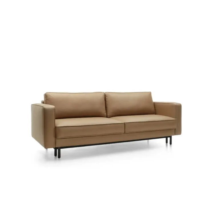 California-Sofa-with-sleeping-function-,-Sofa-Bed-Contemporary-Style4.webp