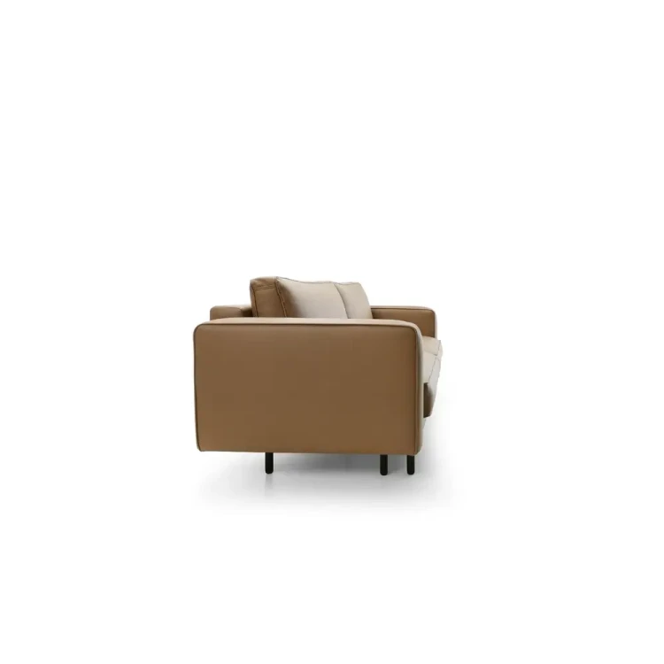 California-Sofa-with-sleeping-function-,-Sofa-Bed-Contemporary-Style8.webp