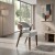 Paradise Dining Chair(1).jpg