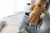 Embrace Kids Accent Chair.webp